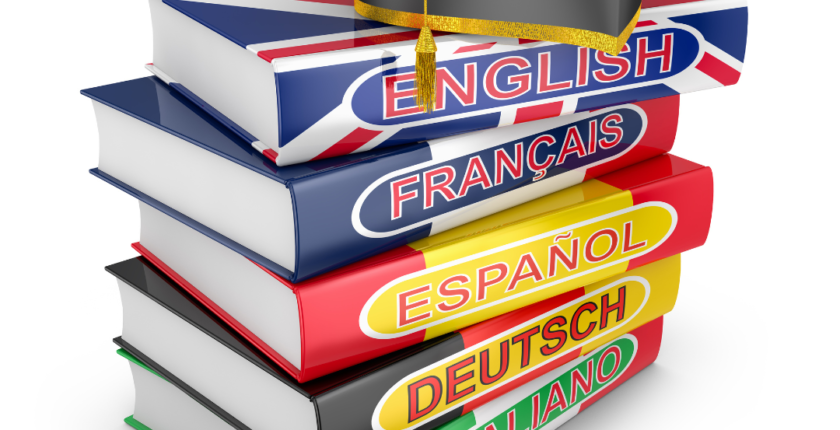 langue et compétences dictionnaires de langue
