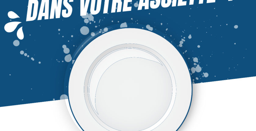 cap experience offre d'emploi